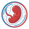 second Month of pregnancy