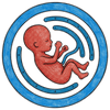 fourth Month of pregnancy
