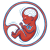 sixth Month of pregnancy