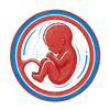 nine Month of pregnancy